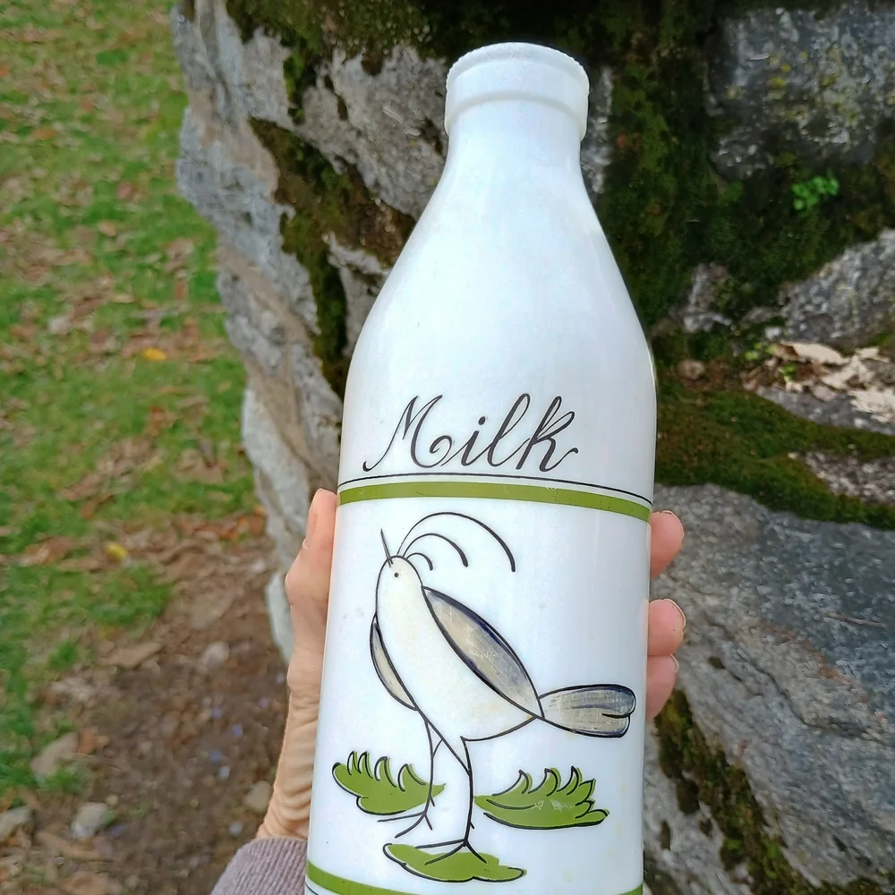 VTG Eqizia white glass quart size milk bottle, bird decor, whimsical decor